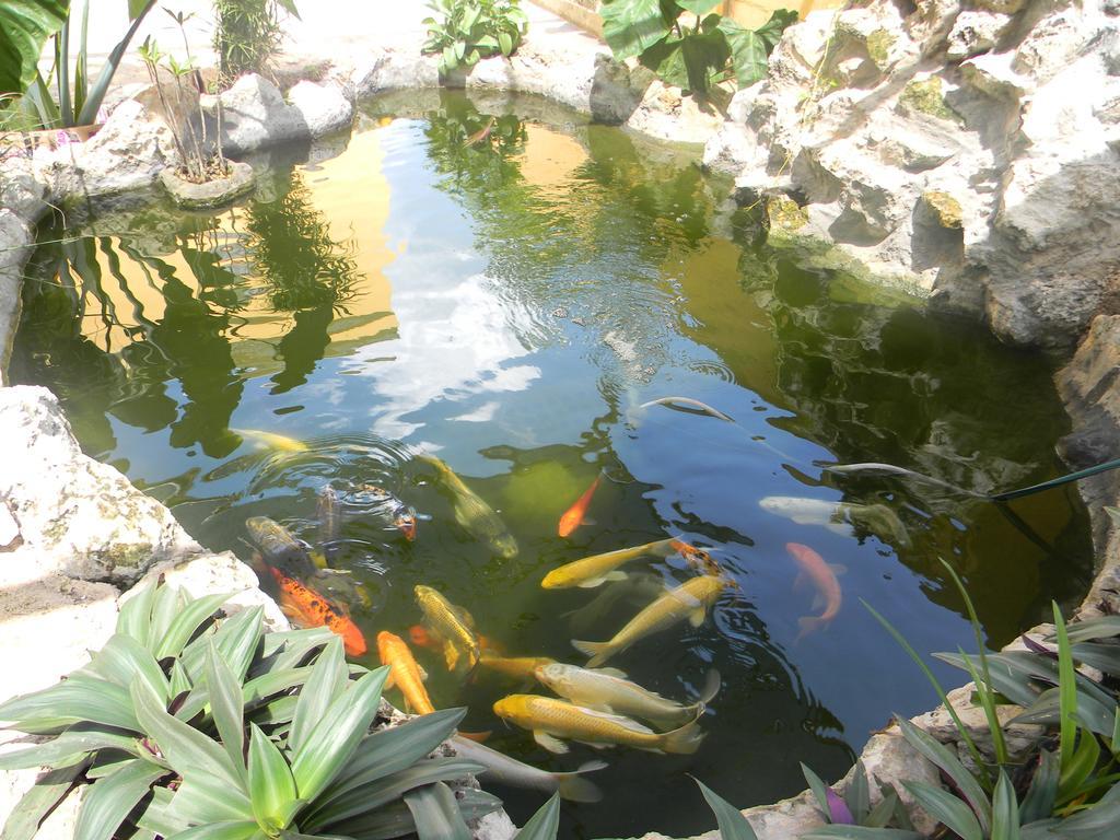 Hacienda Coba Bed & Breakfast Ngoại thất bức ảnh