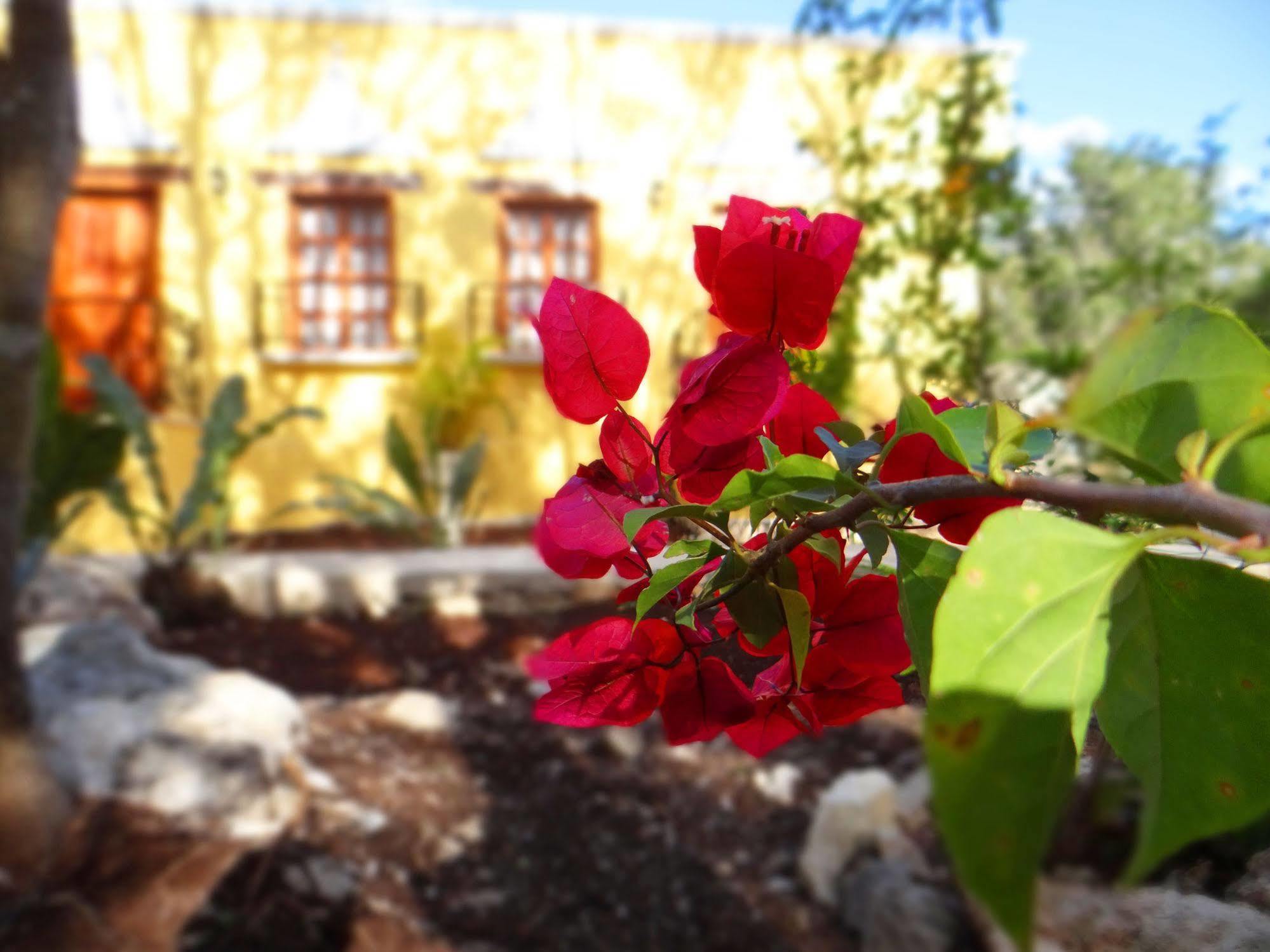 Hacienda Coba Bed & Breakfast Ngoại thất bức ảnh
